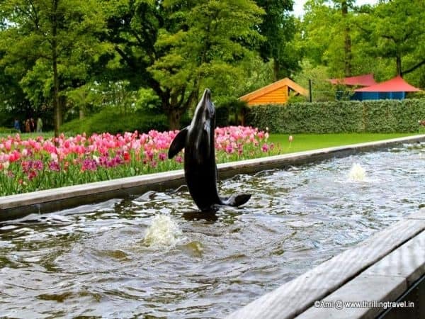 Tulip gardens in Netherlands